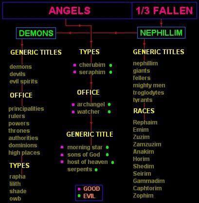 angel taxonomy